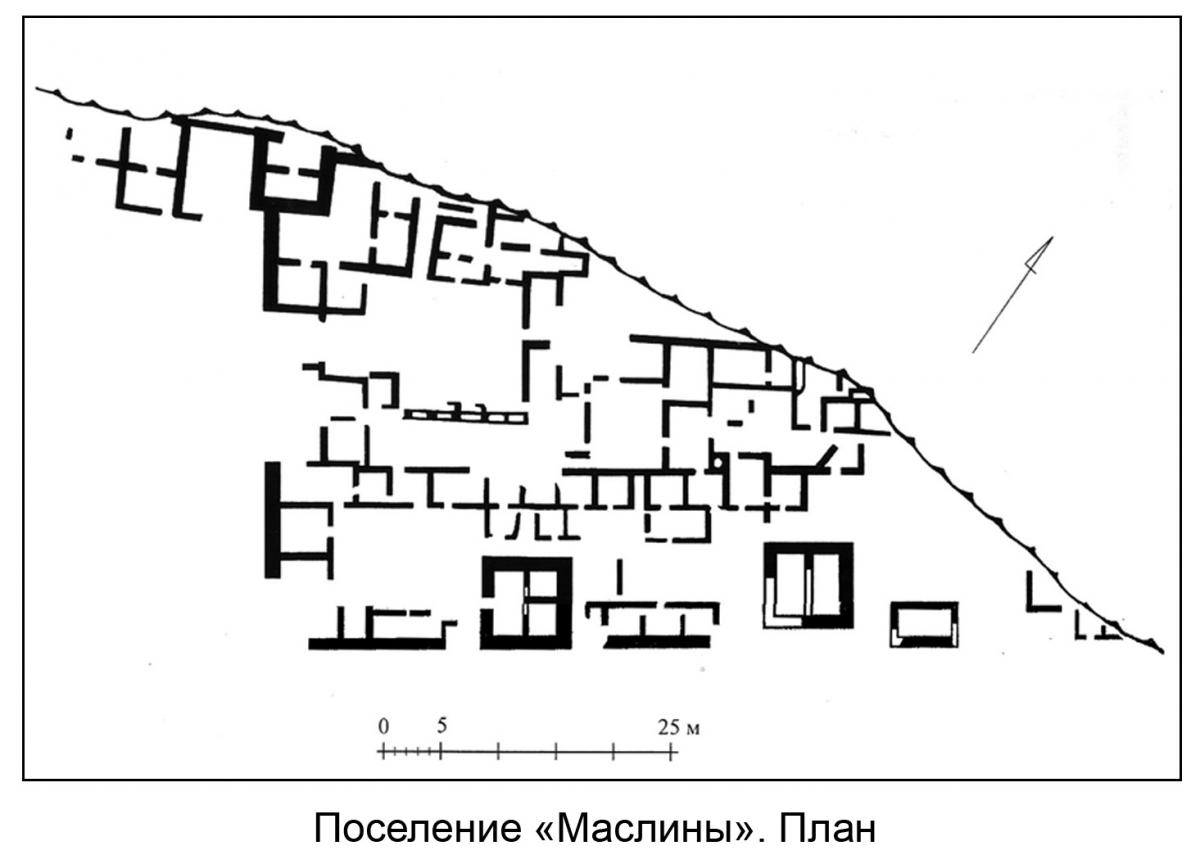 Без имени-5_2.jpg