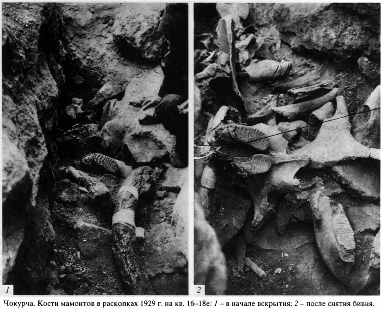 кости мамонта 1929.png